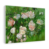 Still Life - Pink Roses - Vincent van Gogh