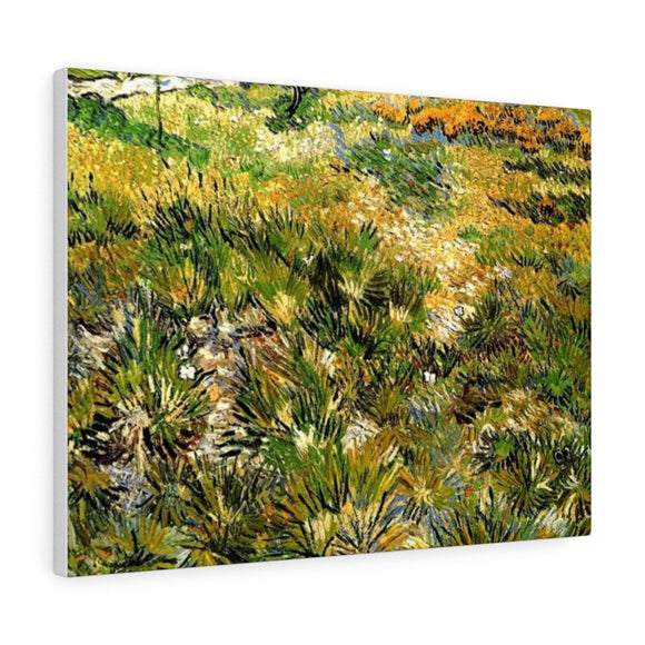 Meadow in the Garden of Saint-Paul Hospital - Vincent van Gogh