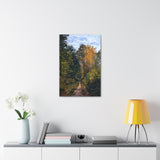 Wooded Path - Claude Monet Canvas Wall Art