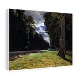 The Pave de Chailly in the Fontainbleau Forest - Claude Monet Canvas Wall Art