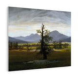 Solitary Tree - Caspar David Friedrich Canvas