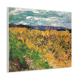 Wheat Field with Cornflowers - Vincent van Gogh Canvas Wall Art