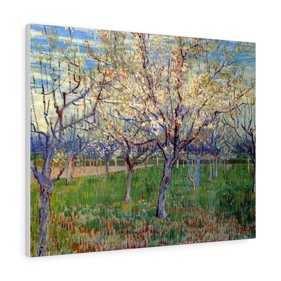 Orchard with Blossoming Apricot Trees - Vincent van Gogh Canvas