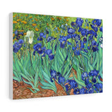 Irises - Vincent van Gogh Canvas