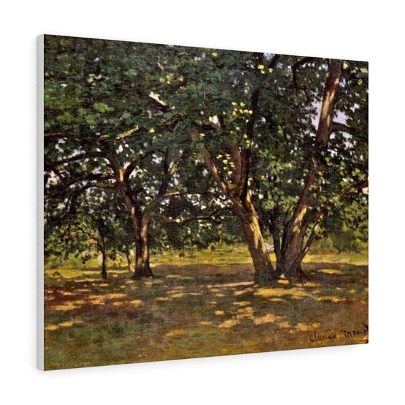 Fontainebleau Forest - Claude Monet Canvas Wall Art