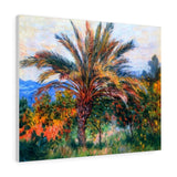 Palm Tree at Bordighera - Claude Monet Canvas