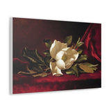 The Magnolia Blossom - Martin Johnson Heade Canvas Wall Art