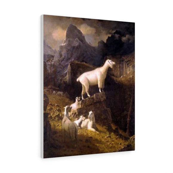 Rocky Mountain Goats - Albert Bierstadt Canvas