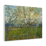 The White Orchard - Vincent van Gogh Canvas