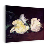 Branch of White Peonies and Secateurs - Edouard Manet