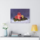 Peaches - Edouard Manet Canvas