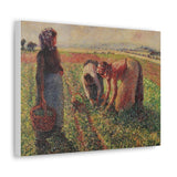 Picking Peas - Camille Pissarro Canvas Wall Art