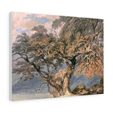 A Great Tree - Joseph Mallord William Turner Canvas