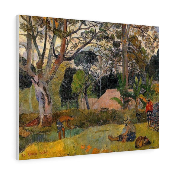 A big tree - Paul Gauguin Canvas