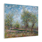 Apple Trees in Bloom - Alfred Sisley Canvas