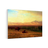 Buffalo on the Plains - Albert Bierstadt Canvas