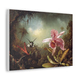 Orchid With Two Hummingbirds - Martin Johnson Heade Canvas Wall Art
