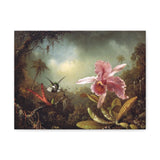 Orchid With Two Hummingbirds - Martin Johnson Heade Canvas Wall Art