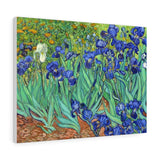 Irises - Vincent van Gogh Canvas